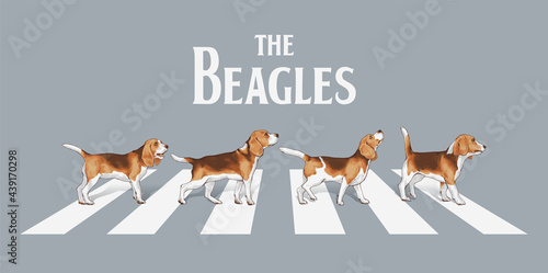 typography slogan with beagle dogs walk on the street  ,vector illustration for t-shirt.