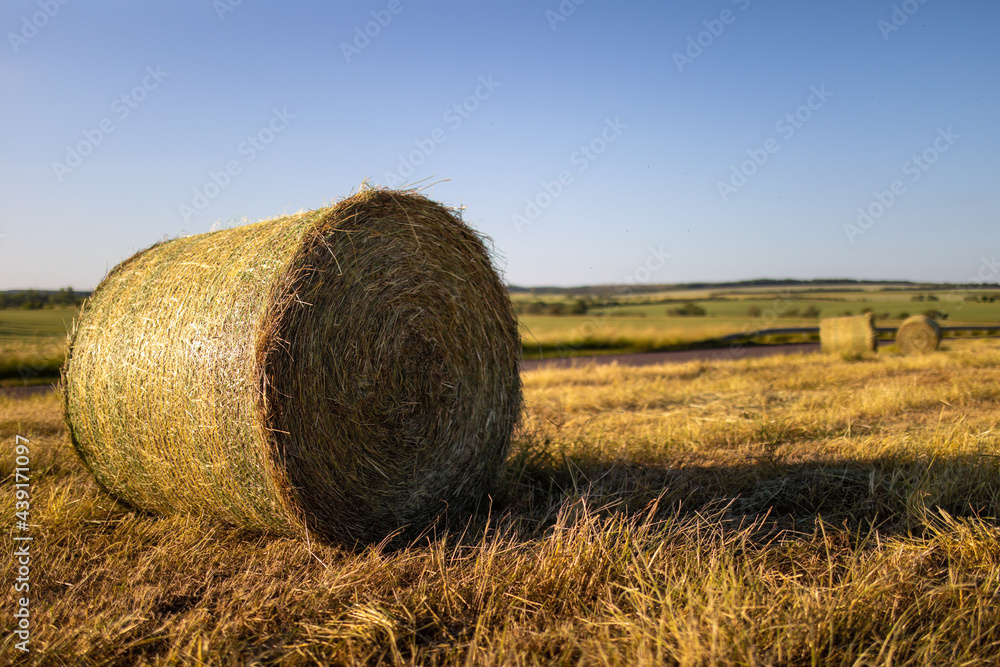 Heuballen liegen auf dem Feld mit Landschaft am Abend