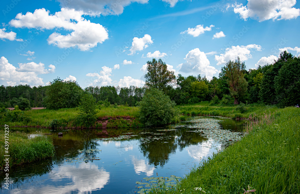 lake in the forest