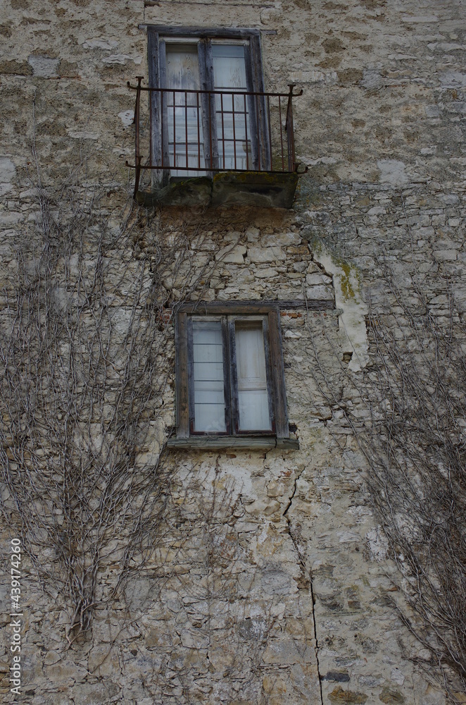 Facade of an abandoned house overgrown with ivy roots with balcony and window