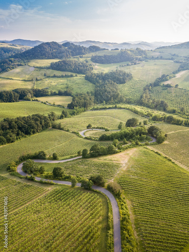 Aerial view of countryside bends vineyards hills and trees in Oltrepo Pavese