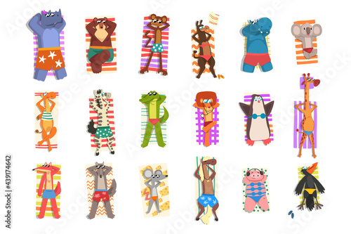 Set of Wild Animals in Swimwear Sunbathing on the Beach, Different Animals Relaxing on Seashore Cartoon Vector Illustration