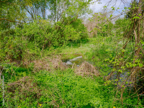 Hübscher Wasserlauf in der Nähe von Elenite