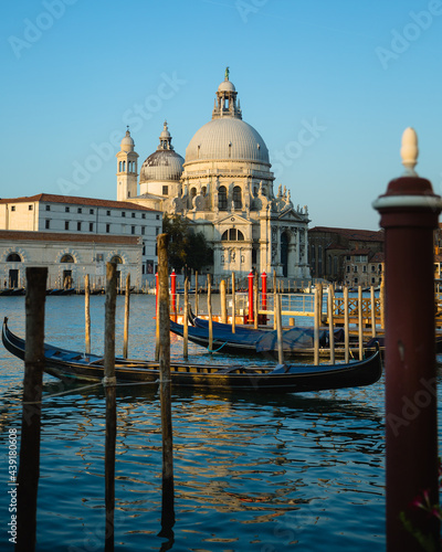 Venice Gondolas in front of La Salute © Andrew