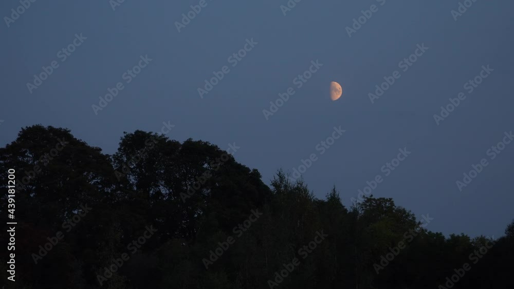 The new moon shines over the treetops. Twilight hours beginning in wild nature. Rural landscape at dusk with Moon that shining on the dark blue sky before nightfall. The new moon shines over the treetops. Twilight hours beginning in wild nature. Rural landscape at dusk with Moon that shining on the dark blue sky before nightfall.
