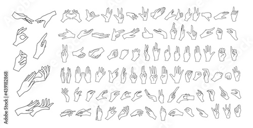 Gesturing. Set of contour hands in different gestures. Female hands in various situations. Hand showing signal or sign collection, on white background isolated. Wrist. ​vector illustration photo