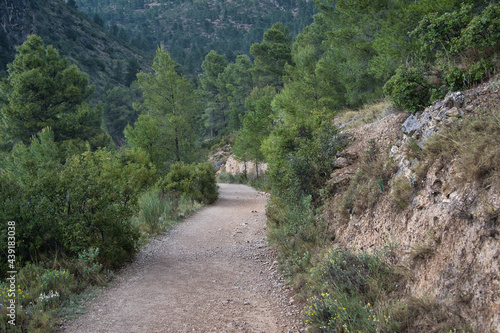 trail in the Cabezon de Oro mountain, located in the Province of Alicante, Valencian Community, Spain