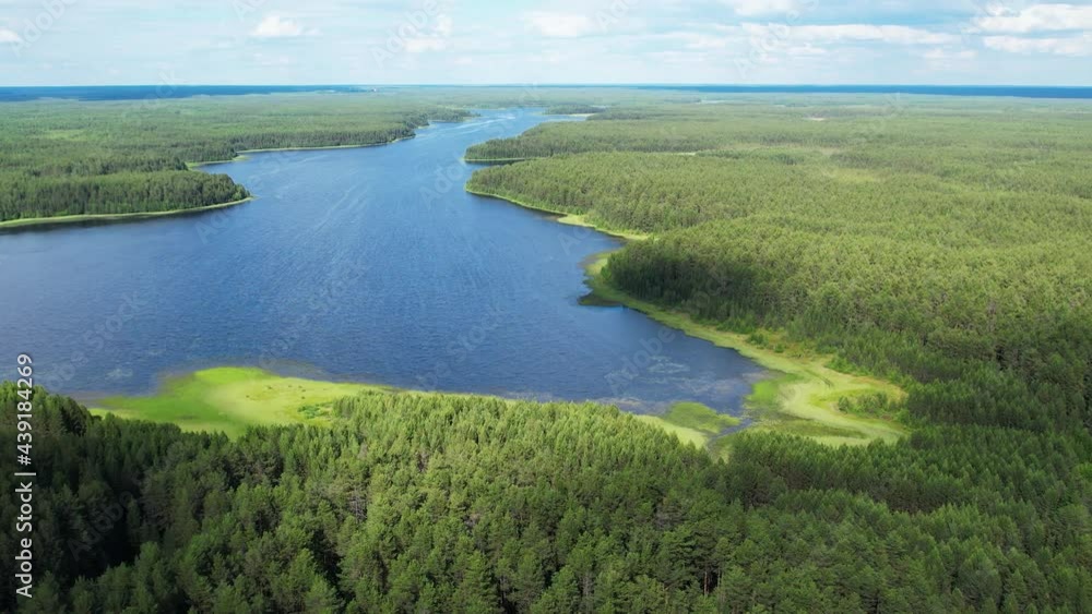 Flight over the taiga forest lake Flight over the taiga forest lake