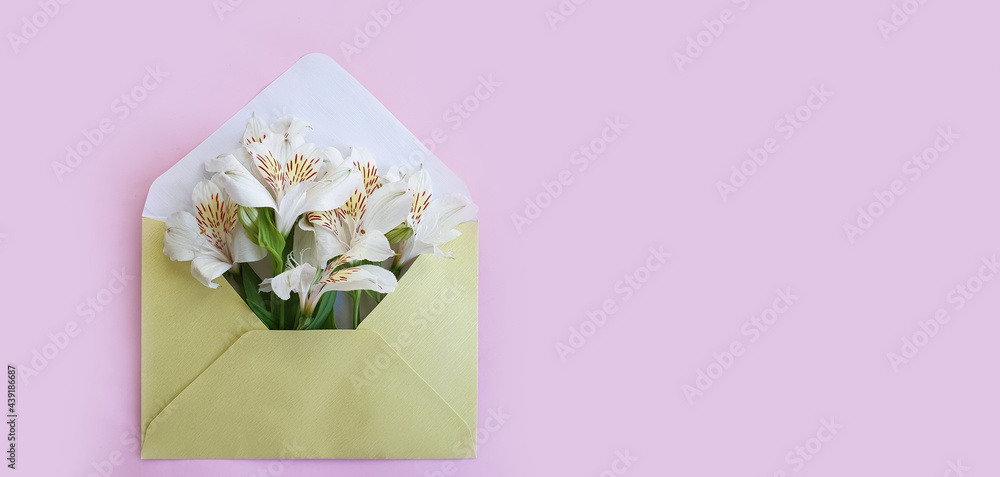 envelope, alstroemeria flower on a colored background