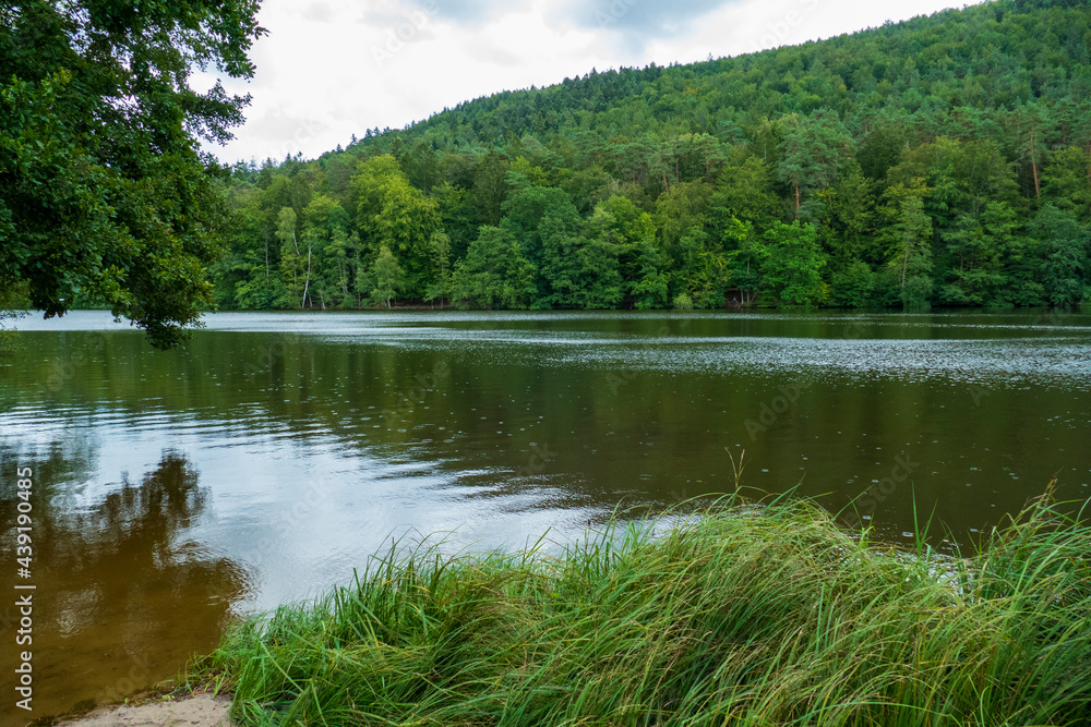 Seehof weiher , romantischer Erlenbach See  in der Pfalz