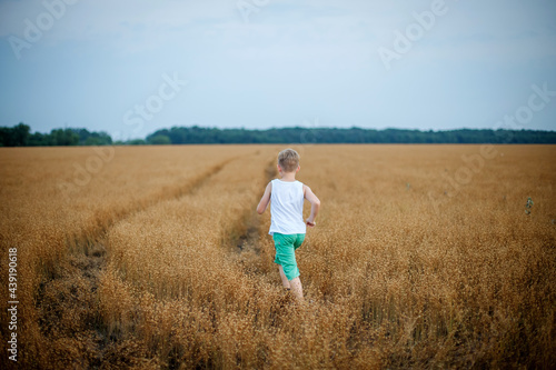 a boy in a white T-shirt and green shorts runs across a field of ripe wheat