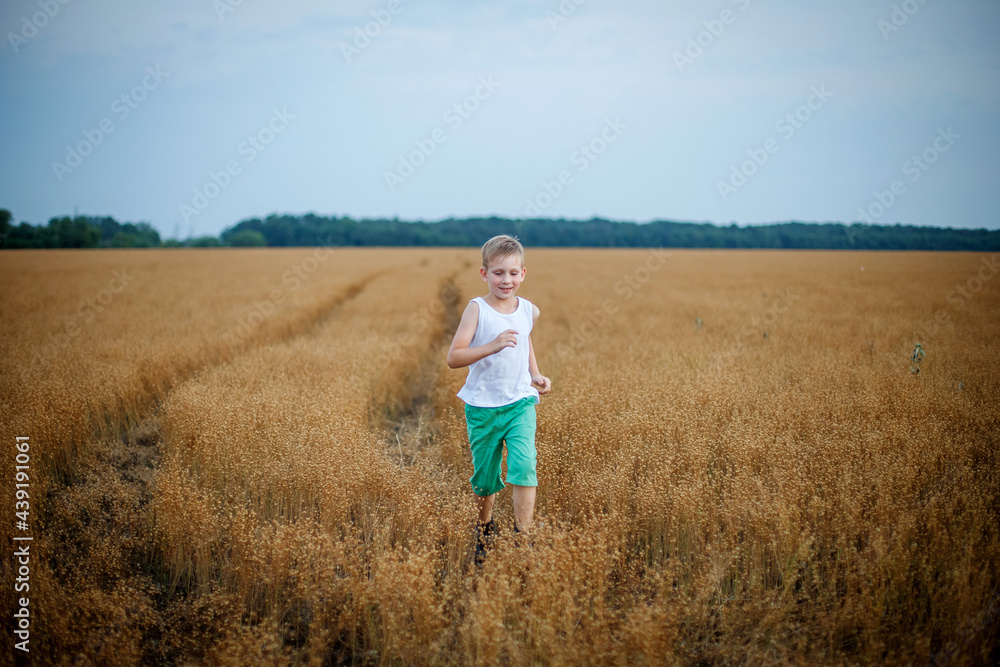 a boy in a white T-shirt and green shorts runs across a field of ripe wheat