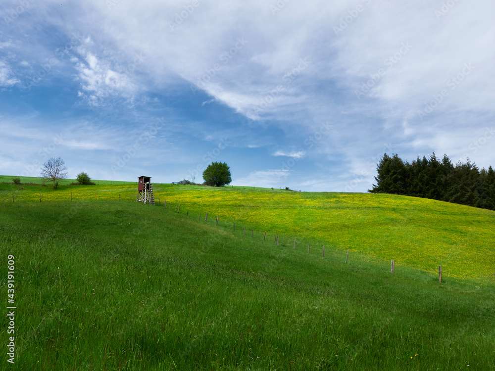 raised blind in the field