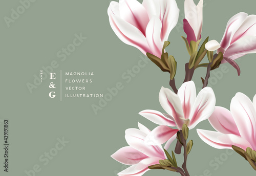 Natural magnolia realistic flowers contemporary event layout designs. Marketing floral pattern background vector illustration.