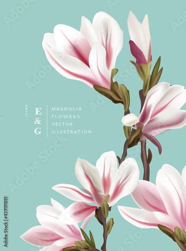 Natural vintage magnolia realistic flowers contemporary invitation layouts. Event marketing floral pattern background vector illustration.