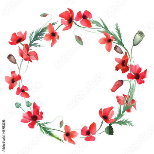 Fototapeta Naklejka Na Ścianę i Meble -  pattern wreath red poppies on a white background painted with watercolor