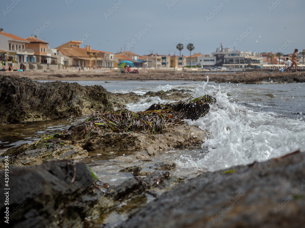 Algae in a rocky area of ​​a cove located in Cabo de Palos, la manga (major sea, Mediterranean life). People's life enjoying the summer in the background.