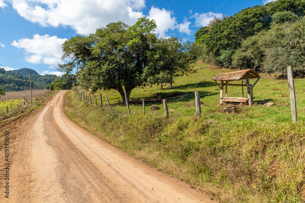 Dirty road, farm field with iron fence and forest Dirty road, farm field with iron fence and forest