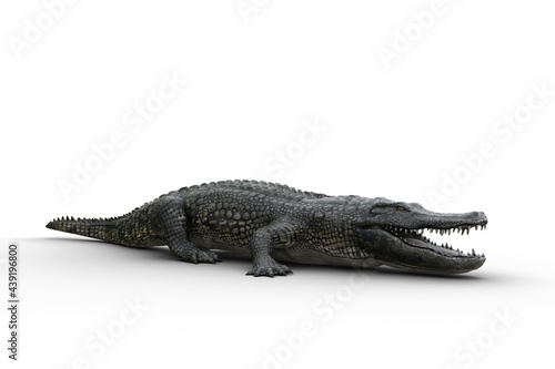 3D illustration of an Alligator standing on land with jaws open isolated on white.