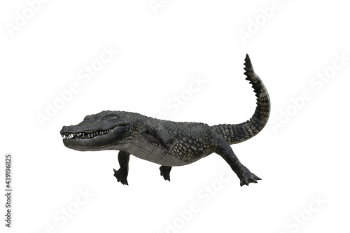3D illustration of an Alligator hunting isolated on white.