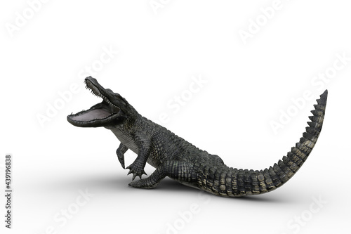 3D illustration of an Alligator attacking with jaws wide open isolated on white.