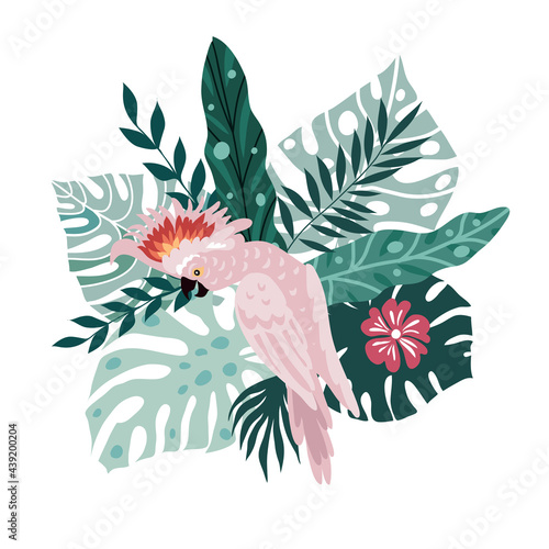 Parrot and leaves 8