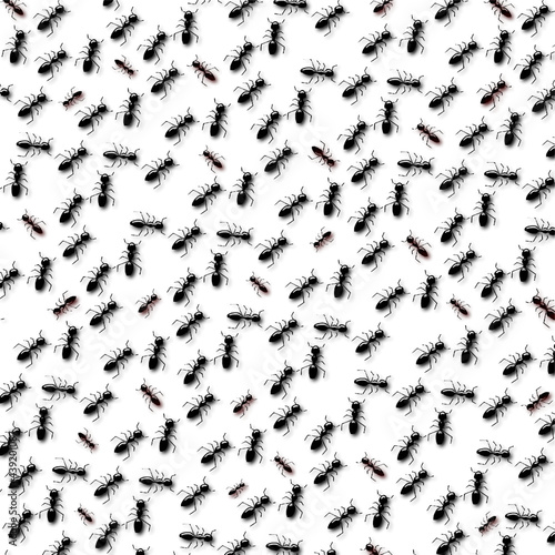 ants pattern.