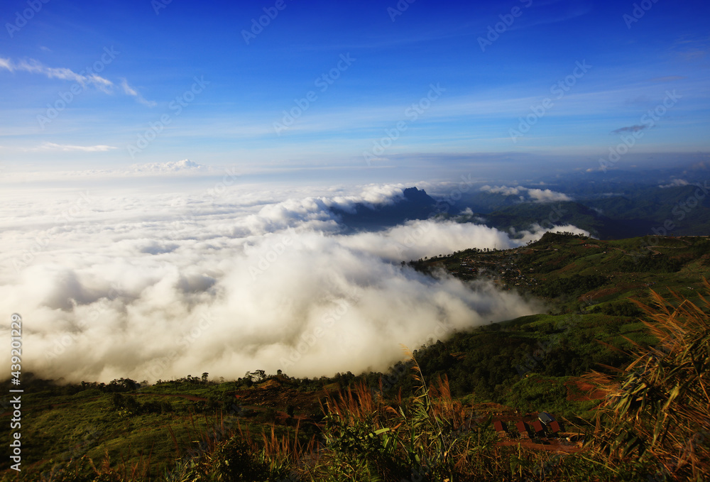 Natrual background, beautiful sea of fog of mist in valley, Mist over phu tub berk view point