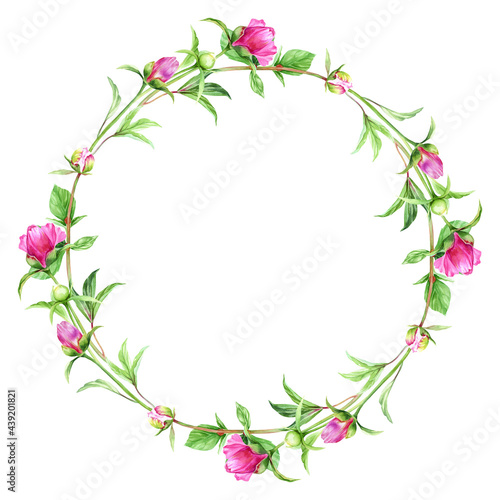 Watercolor round frame from pink peonies, leaves, buds and twigs. Wreath of bright summer flowers for invitation, menu, greeting cards