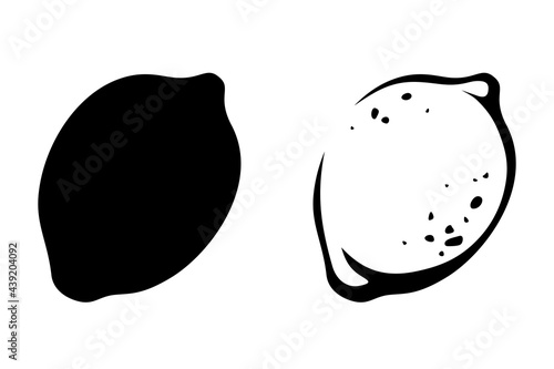 Vector black silhouette and line art illustration of a citrus lemon fruit isolated on a white background.