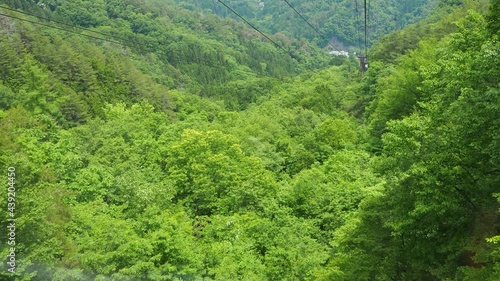 森の中を登っていくロープウエイ