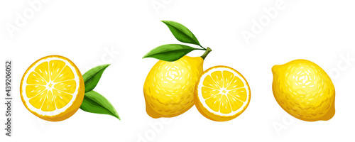 Fotografie, Obraz Vector set of citrus lemon fruit isolated on a white background.