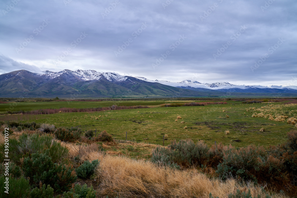 Scenic View of Colorado Prairie landscape with Snowcapped Mountain and White Clouds