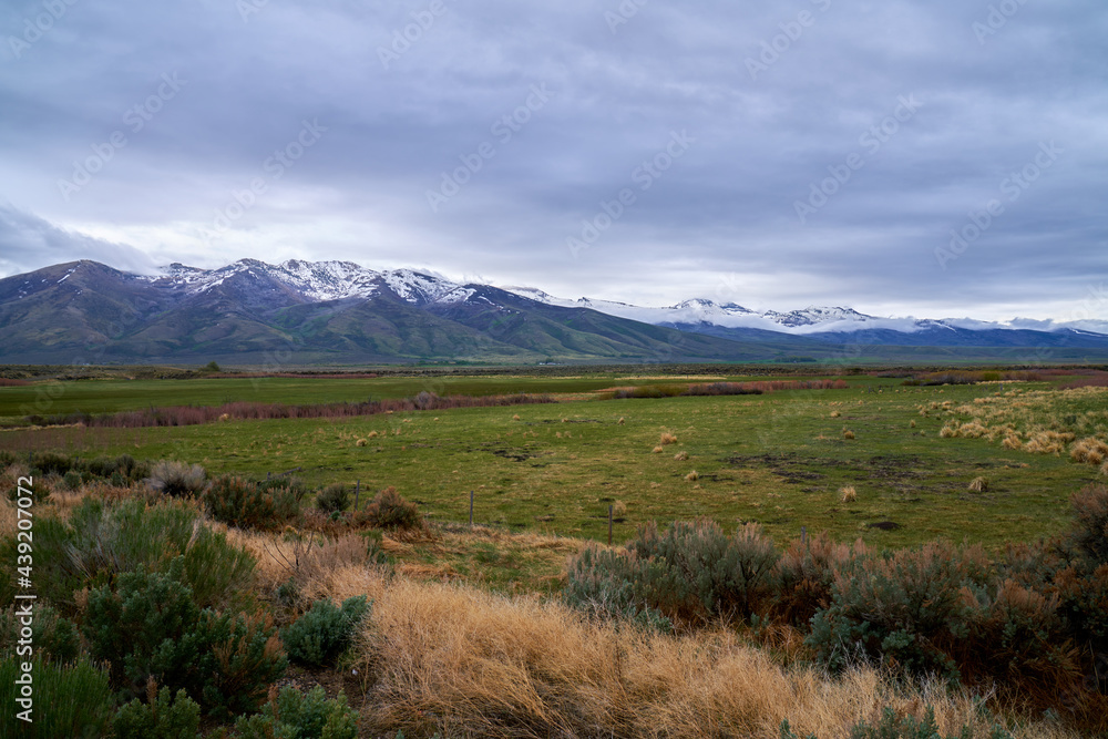 Scenic View of Colorado Prairie landscape with Snowcapped Mountain and White Clouds Scenic View of Colorado Prairie landscape with Snowcapped Mountain and White Clouds