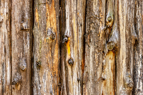 Roughhewn log fence background texture