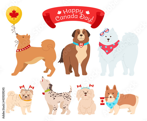 Dog character Canada Day cartoon set. Funny patriotic pet different breeds dogs with canadian flag, balloon flat style. Hand drawn friendly animals corgi, pug pup. Isolated vector illustration