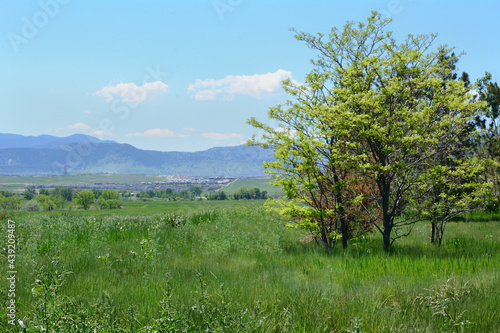 Springtime Colorado landscape from Standley Lake Regional Park in Westminster looking towards the west to the Rocky Mountains