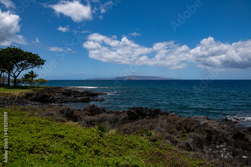Wallpaper Mural Nature landscape in Hawaii, tropical beach with palm tree in crystal clear sea. Torontodigital.ca