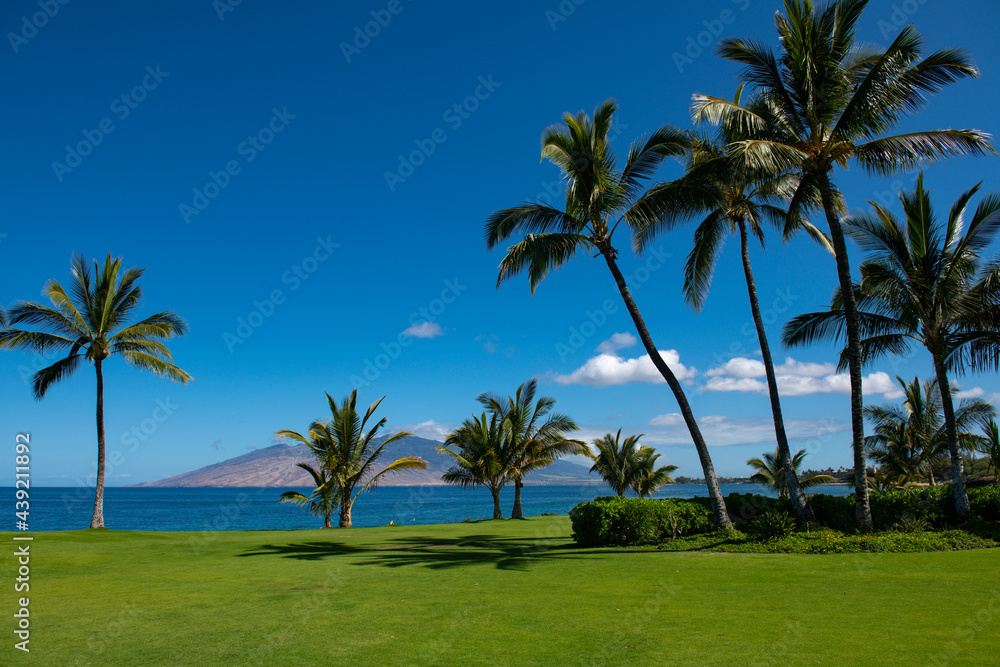 Tropical sea beach with sand, ocean, palm leaves, palm trees and blue sky. Summer beach background.