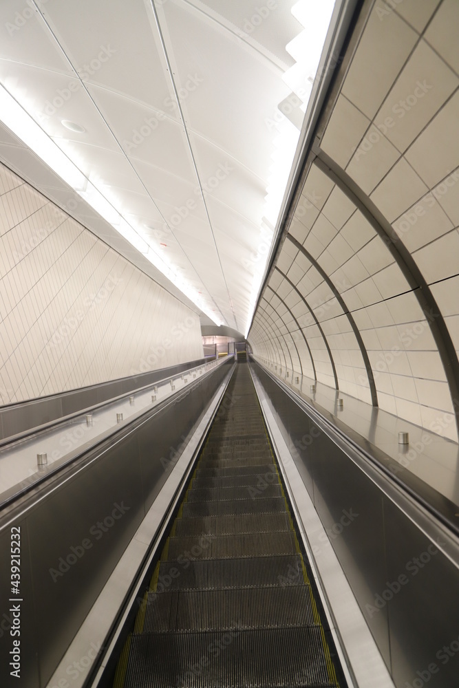 Obraz premium Which Way is Up?