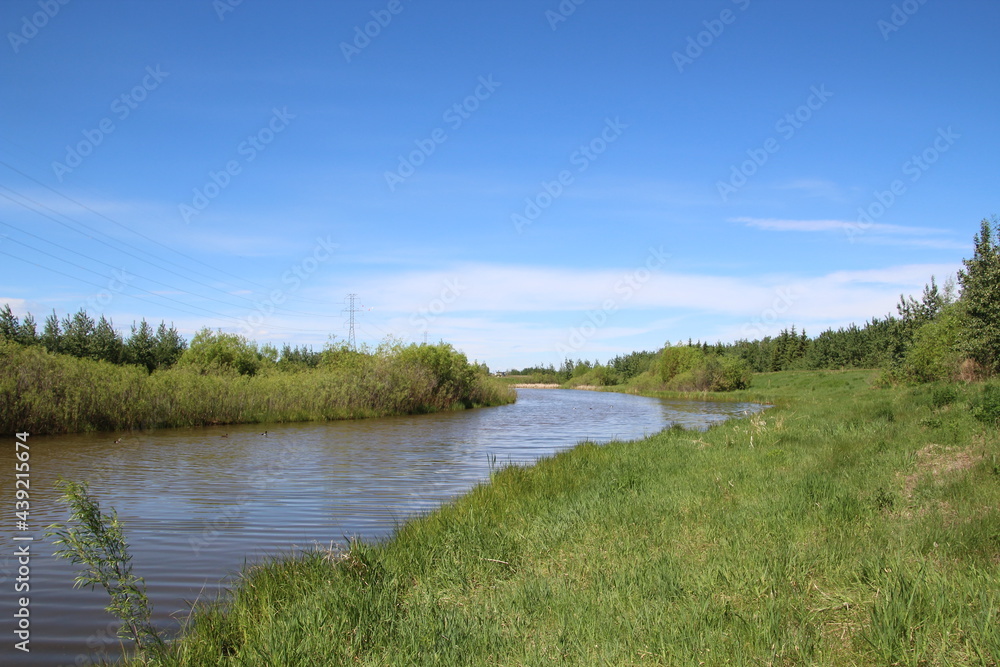 June On The Water, Pylypow Wetlands, Edmonton, Alberta