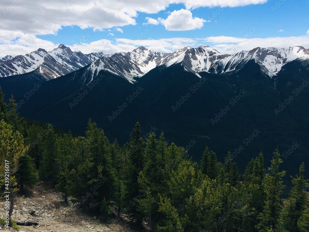 Fototapeta premium Stunning views of Banff National Park from Sulfur mountain ridge