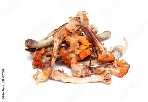 chicken bones gnawed after eating on a white background