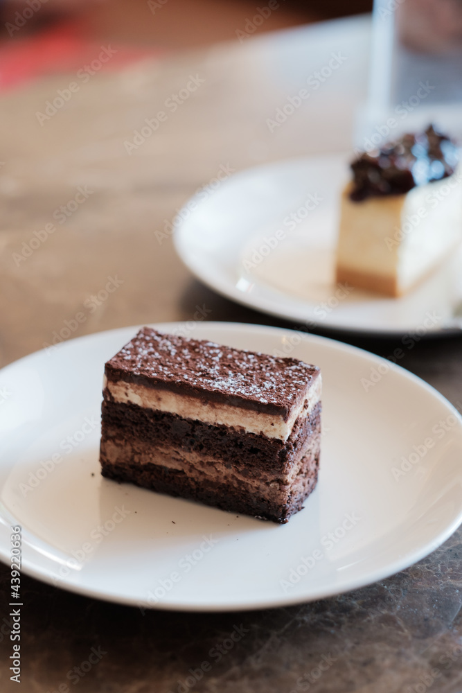 A slice of delicious chocolate cake. Piece of Cake on a Plate. Sweet food. Sweet dessert. Close up. A slice of delicious chocolate cake. Piece of Cake on a Plate. Sweet food. Sweet dessert. Close up.