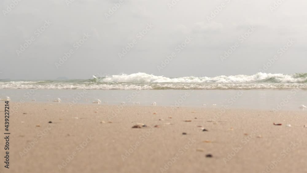 Tropical paradise beach with white sandy beach on a hot sunny day : Travel destination concept Tropical paradise beach with white sandy beach on a hot sunny day : Travel destination concept