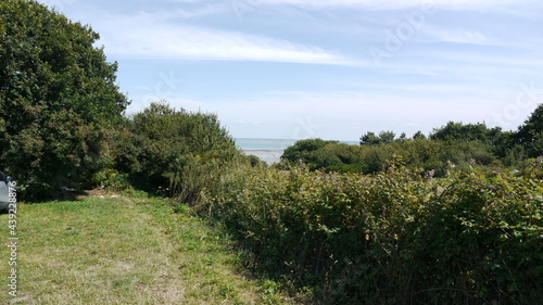 nature en Bretagne en France