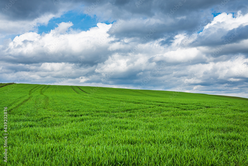 Green field and blue sky white cloud nature background.Farmland. Nice field against blue sky with white clouds. Green field and blue sky white cloud nature background.Farmland. Nice field against blue sky with white clouds.