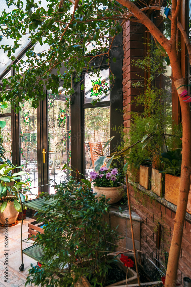 Interior of winter garden with various home plants, glass door and windows. Interior of winter garden with various home plants, glass door and windows.