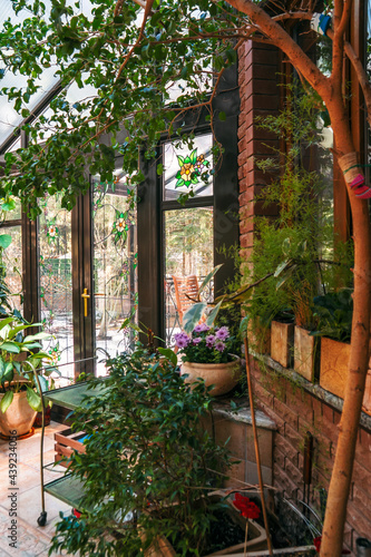 Interior of winter garden with various home plants, glass door and windows.