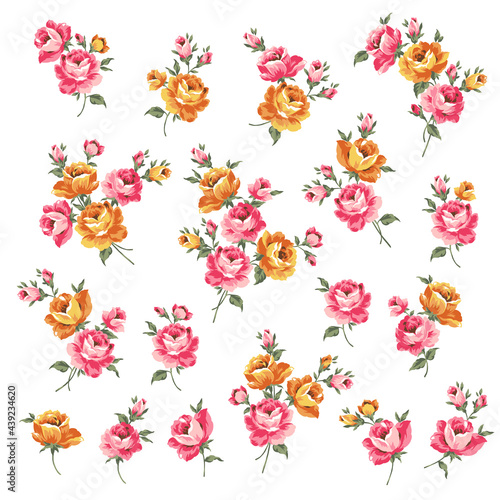 Beautiful rose illustration material collection,